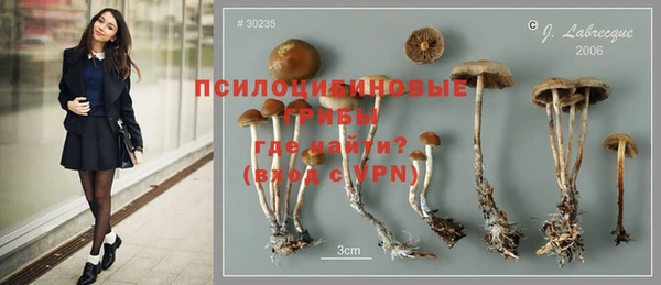синтетический гашиш Бородино