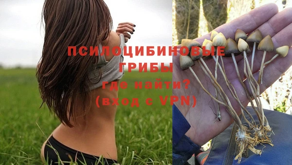 синтетический гашиш Бородино
