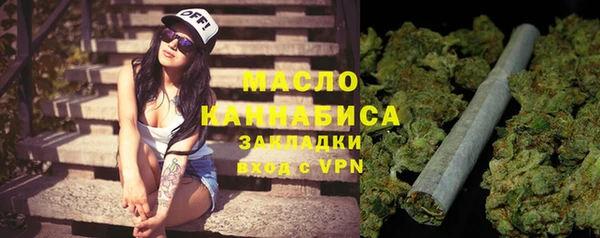 индика Богородицк